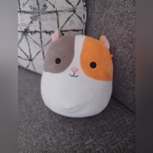 Squishmallow- EVERETT THE HAMSTER